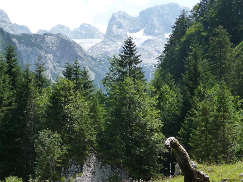 Ferienwohnung Inge Gapp Gosau Extérieur photo