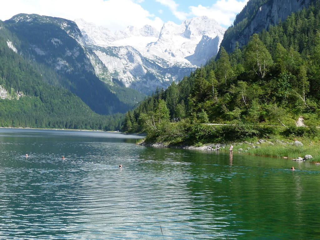 Ferienwohnung Inge Gapp Gosau Chambre photo