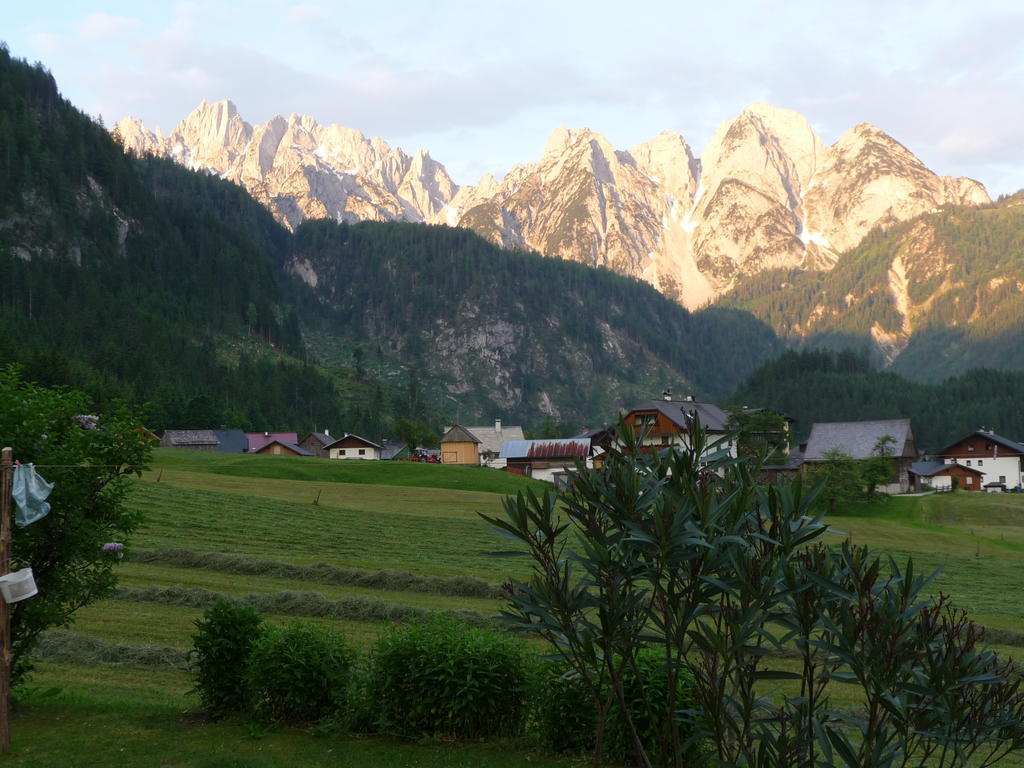 Ferienwohnung Inge Gapp Gosau Extérieur photo